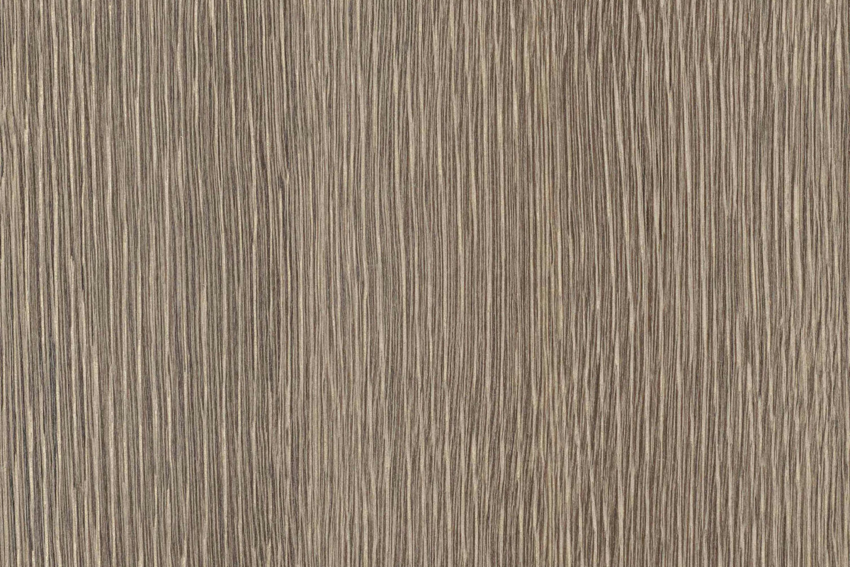 Oyster dark