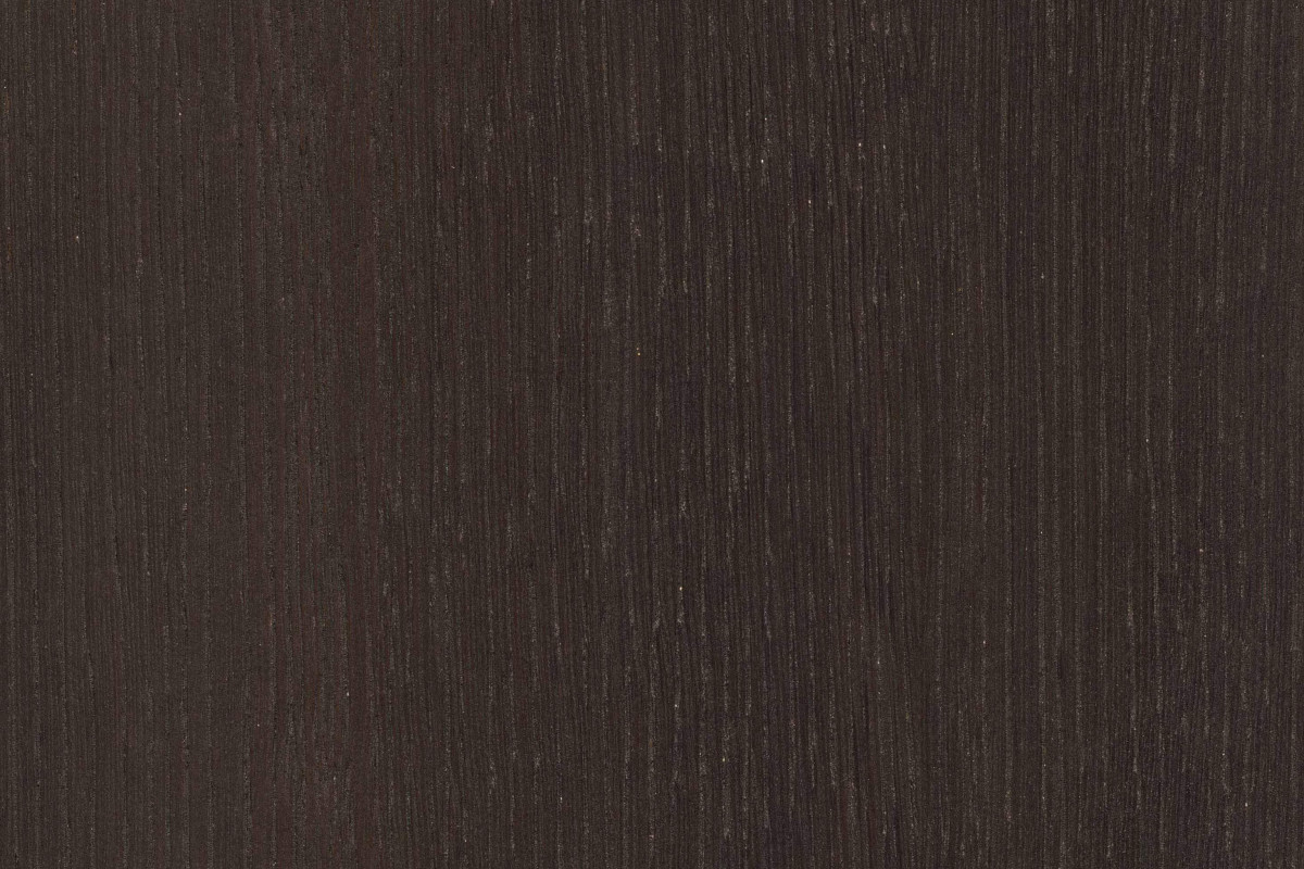 Mocha dark