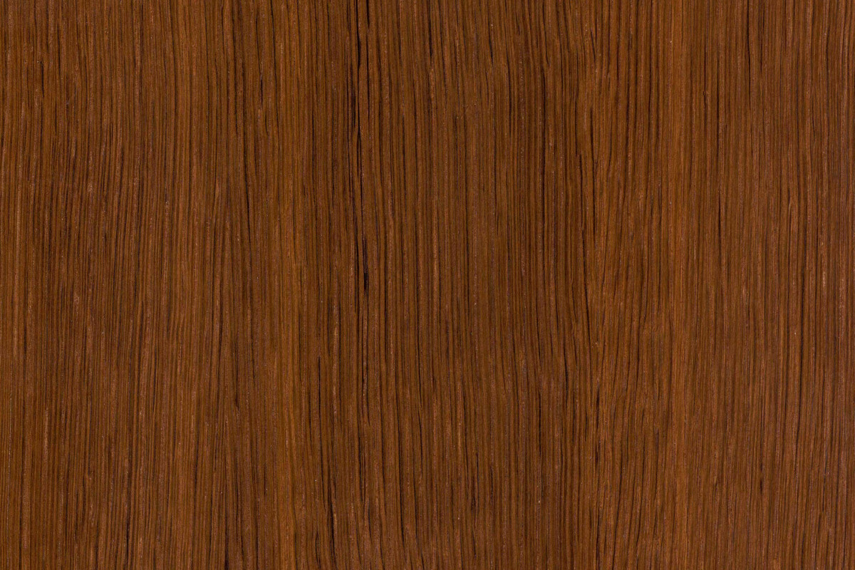 Mocha medium