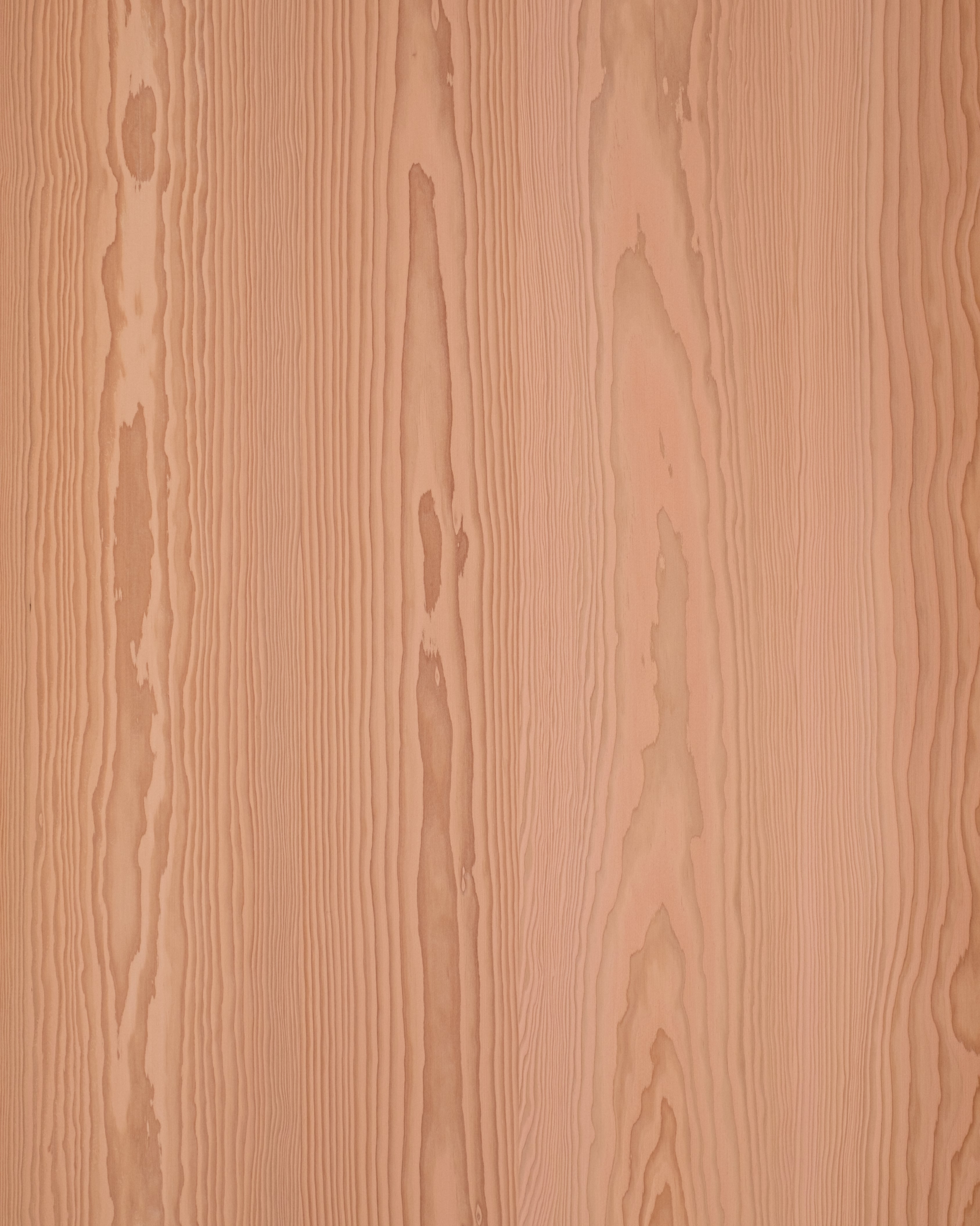 Camargue Rose