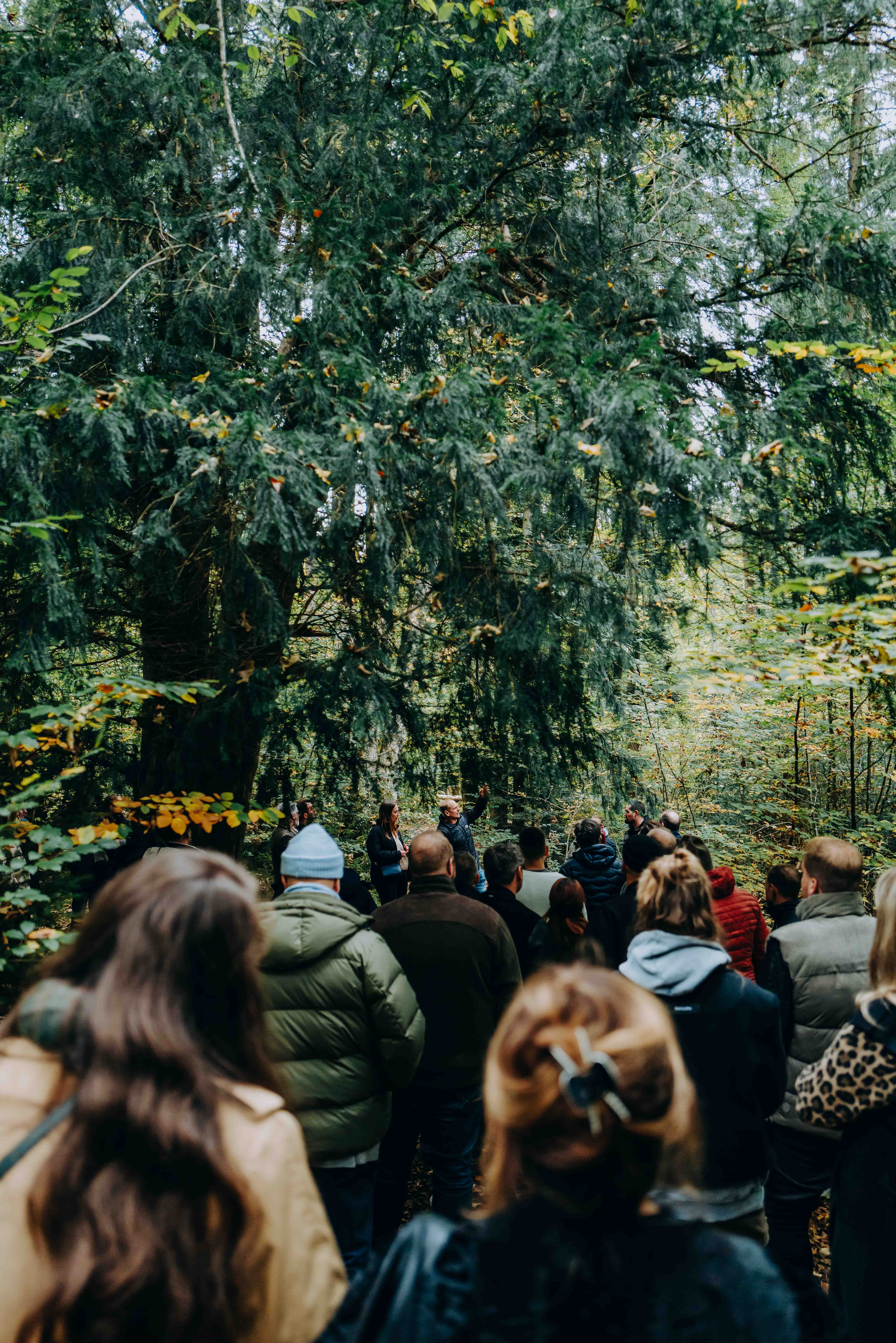 Notre événement de lancement : Connected by Colours 2025 : Un langage des couleurs. Trois marques en dialogue