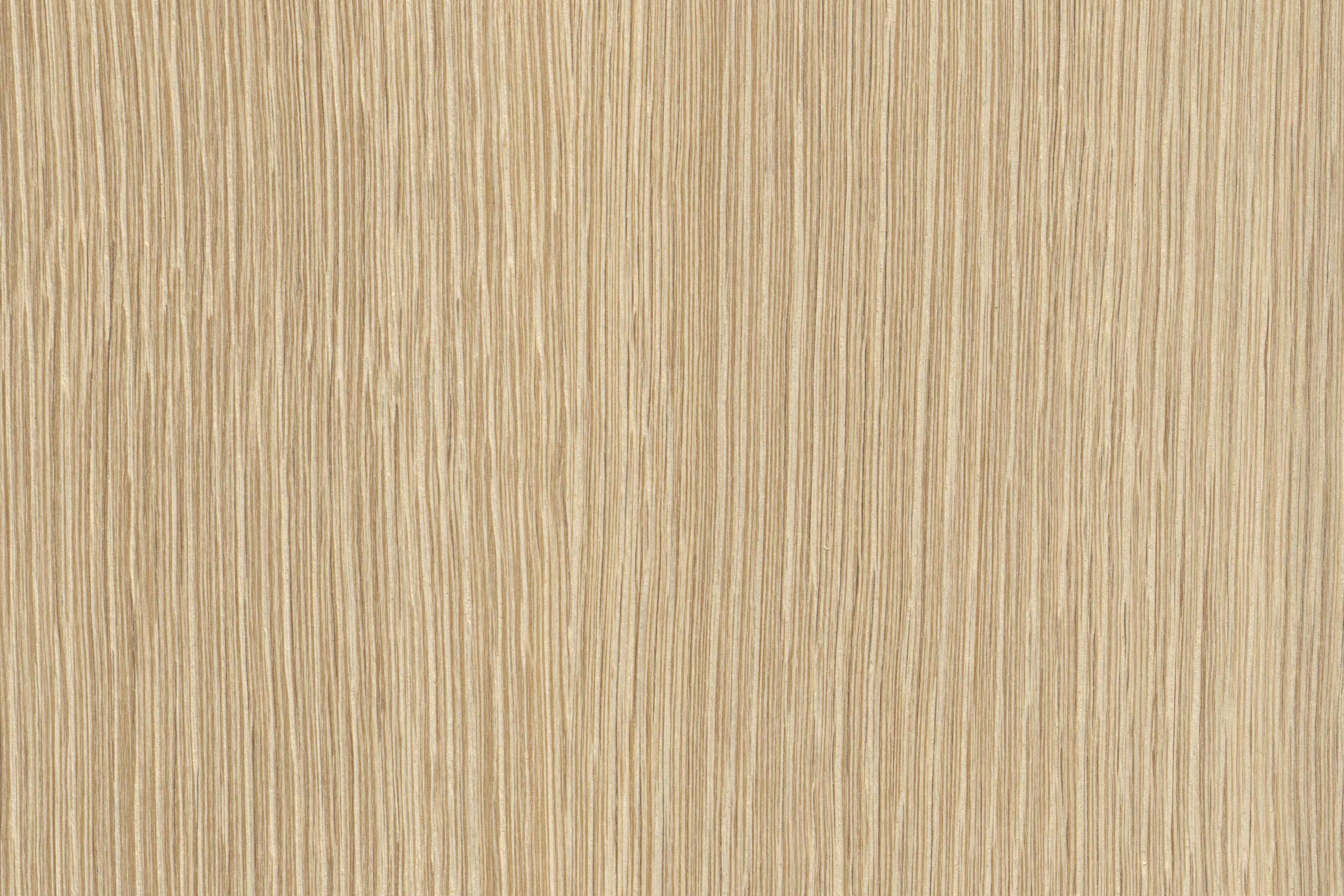 Huître, clair – Information détaillée