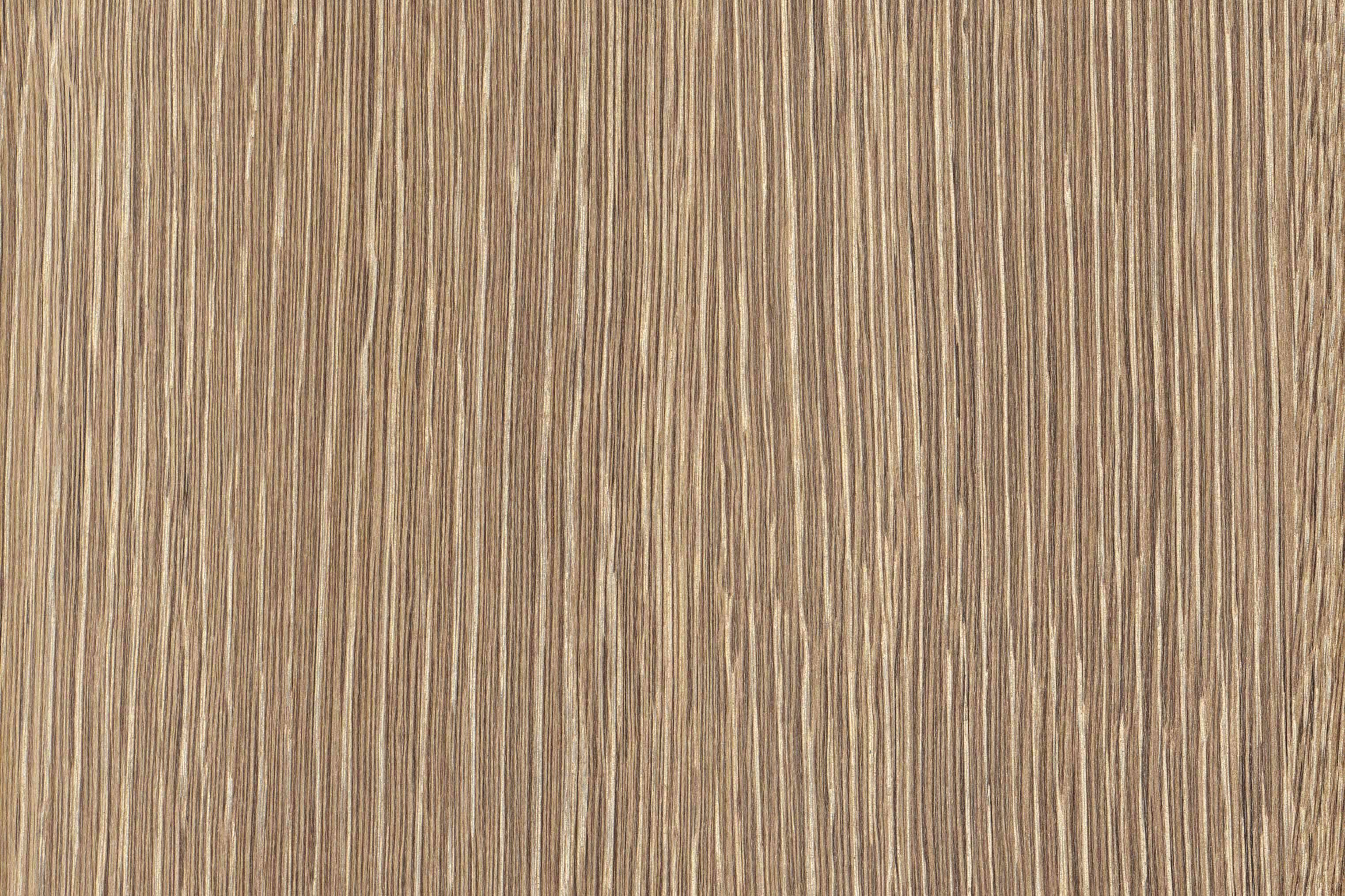 Huître, intermédiaire – Information détaillée