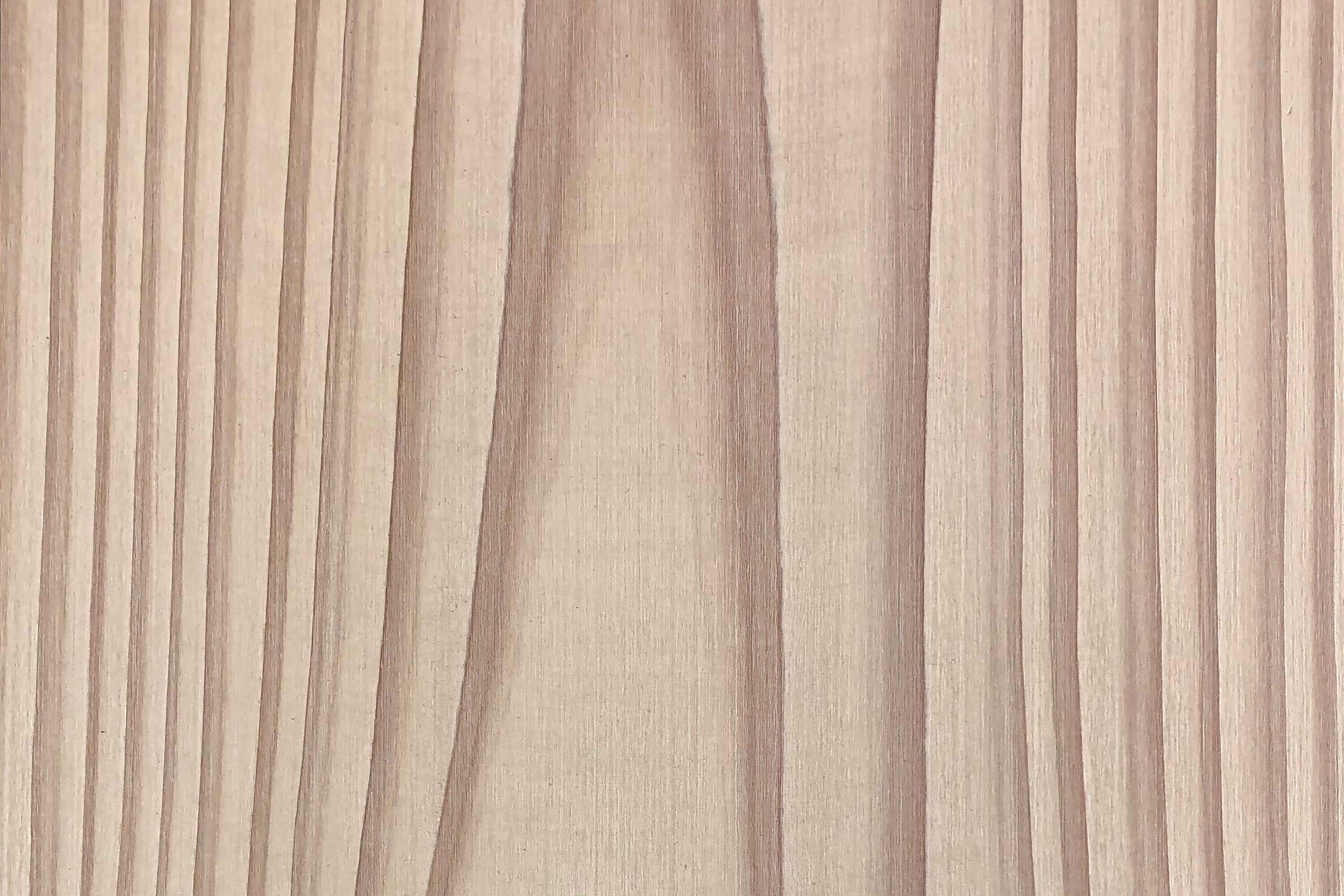 Douglasie hell – Detail