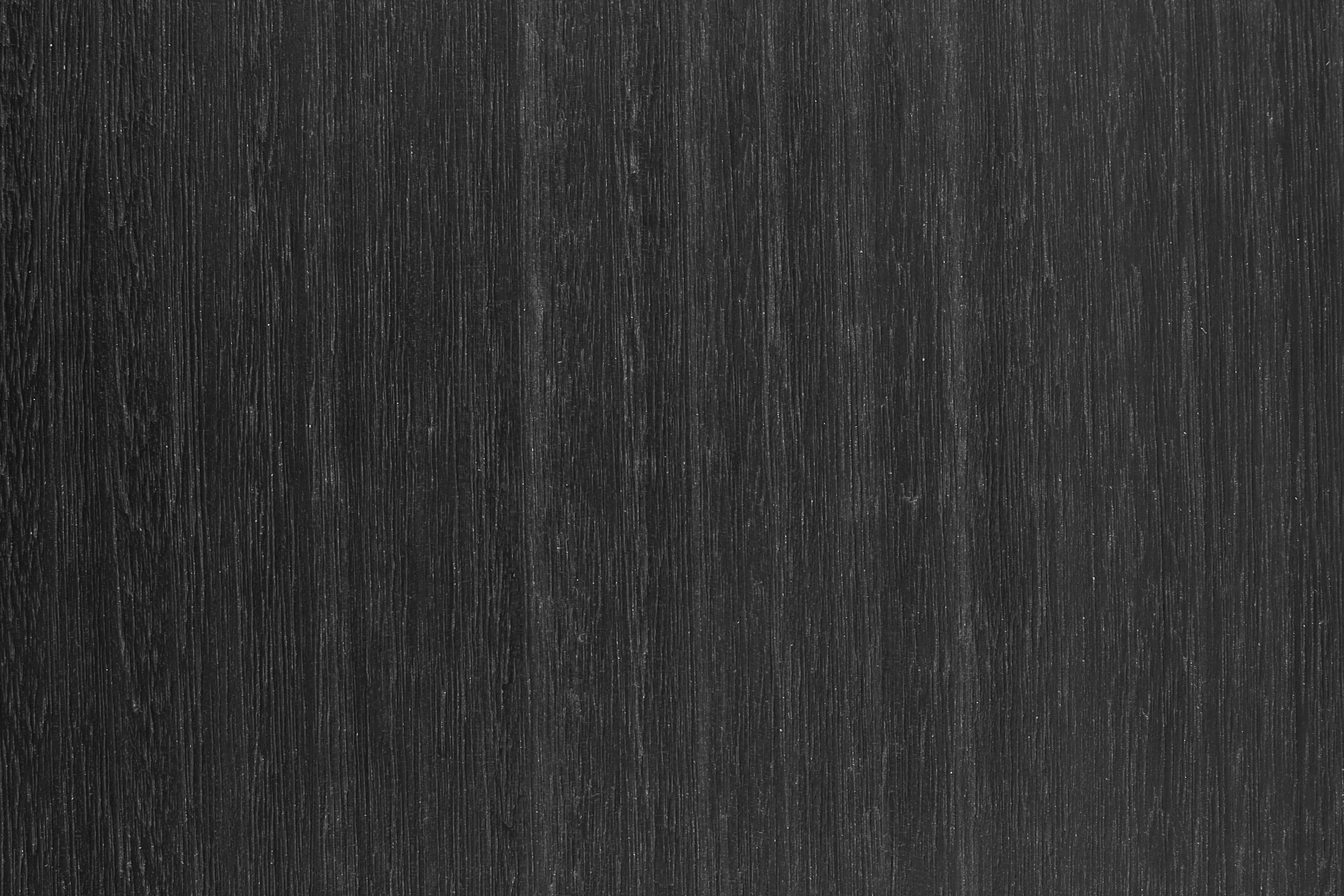 Eucalipto oscuro – Detalle