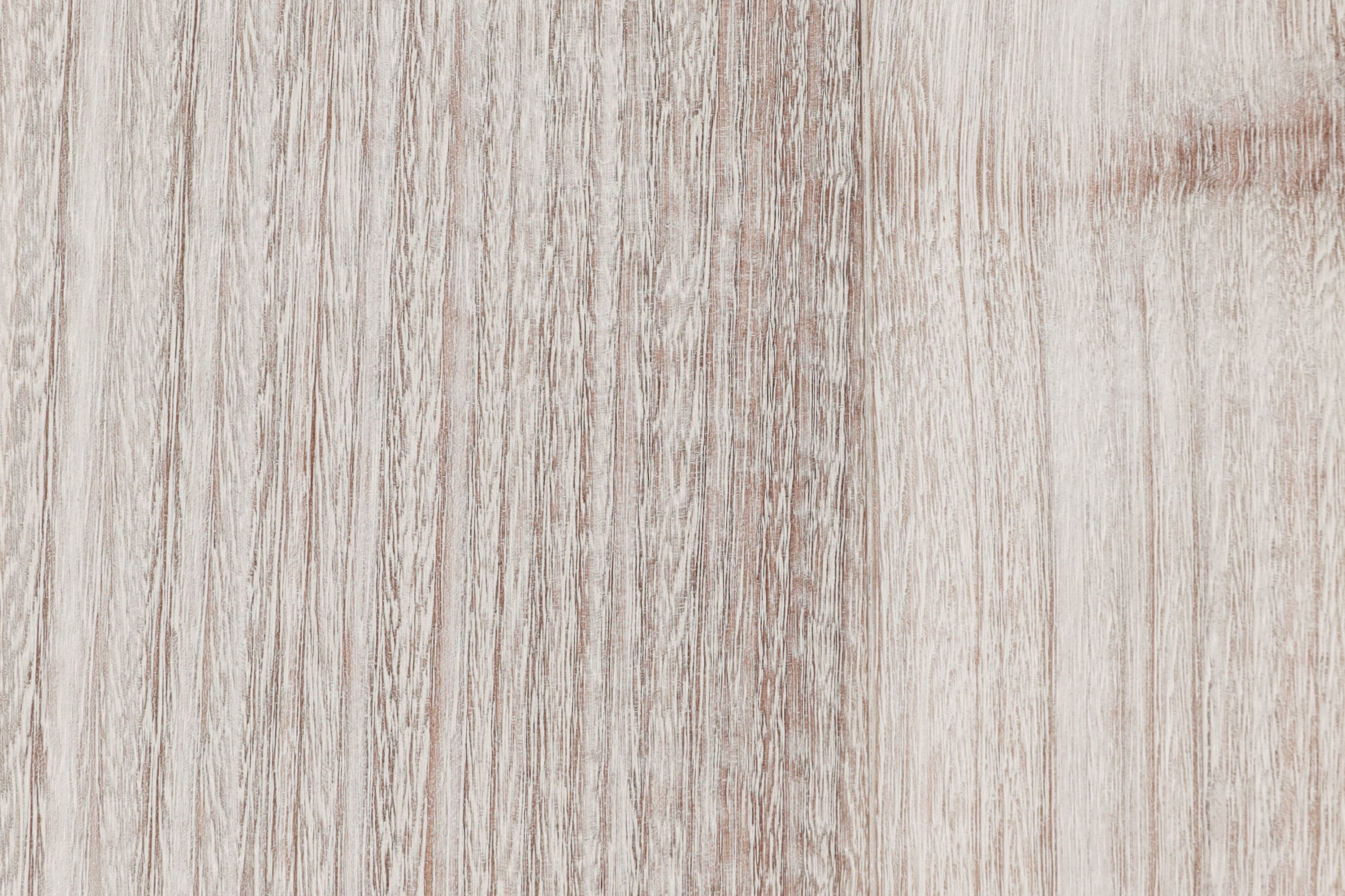 Eucalipto claro – Detalle