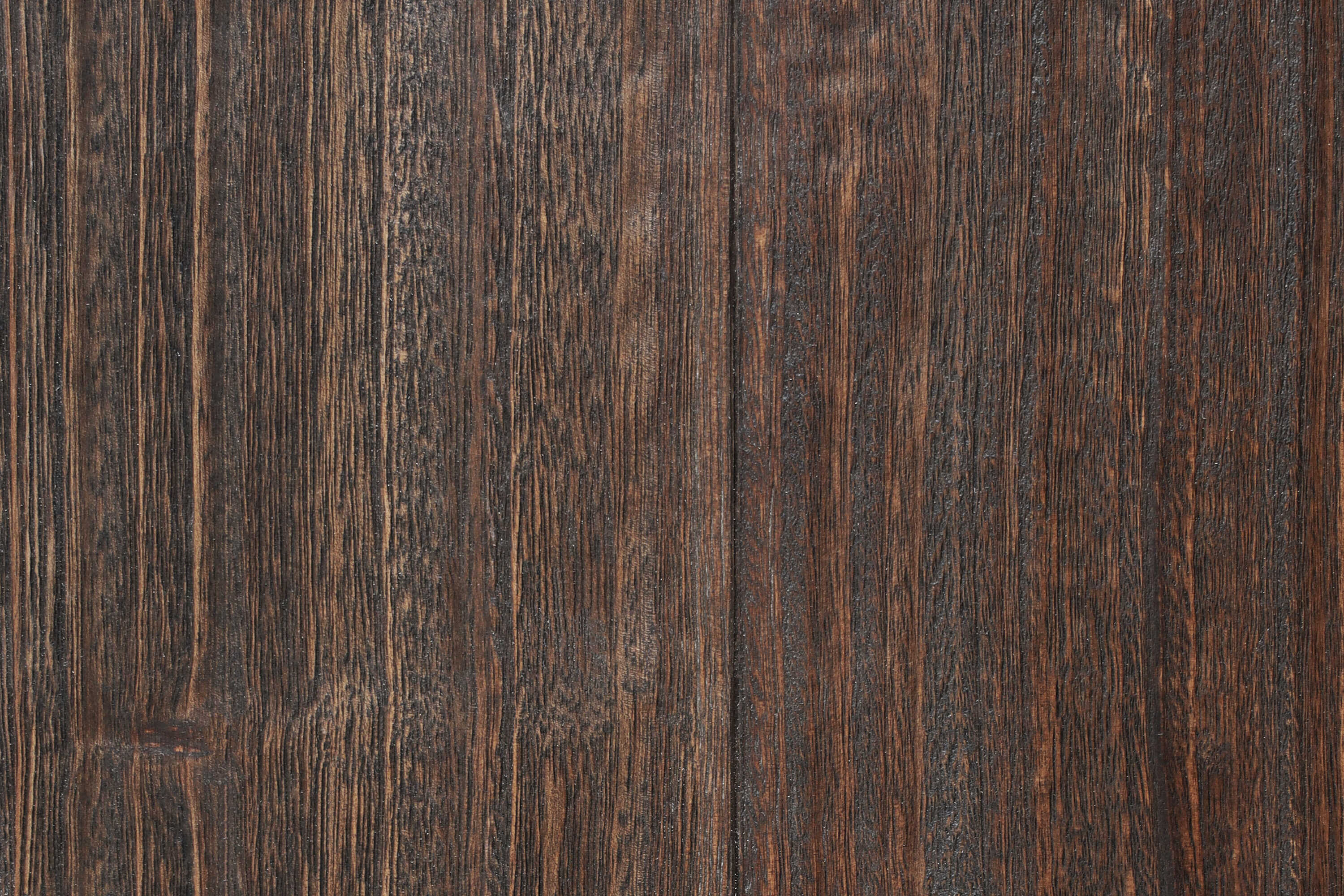 Eucalipto medio – Detalle