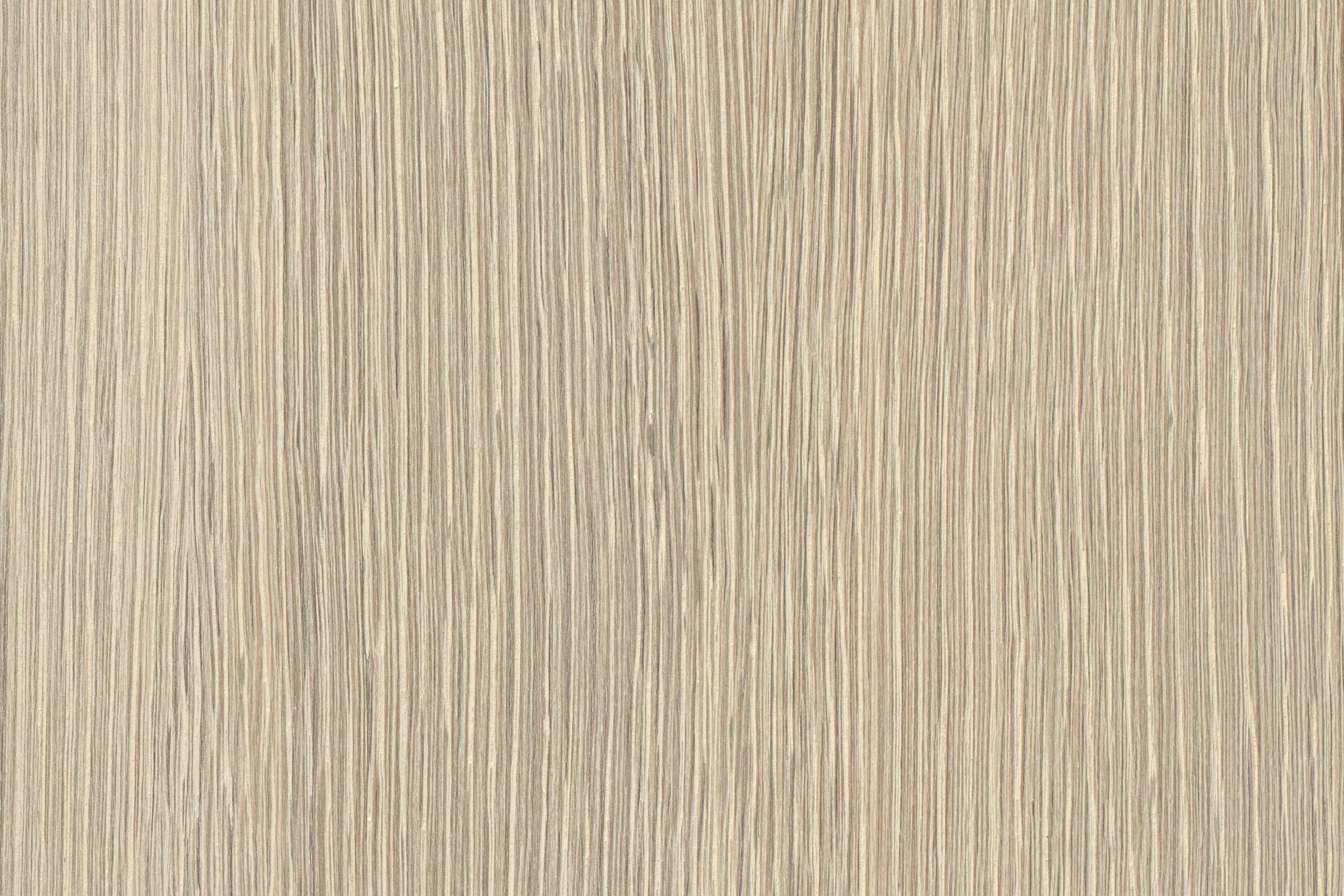 Galet, intermédiaire  – Information détaillée