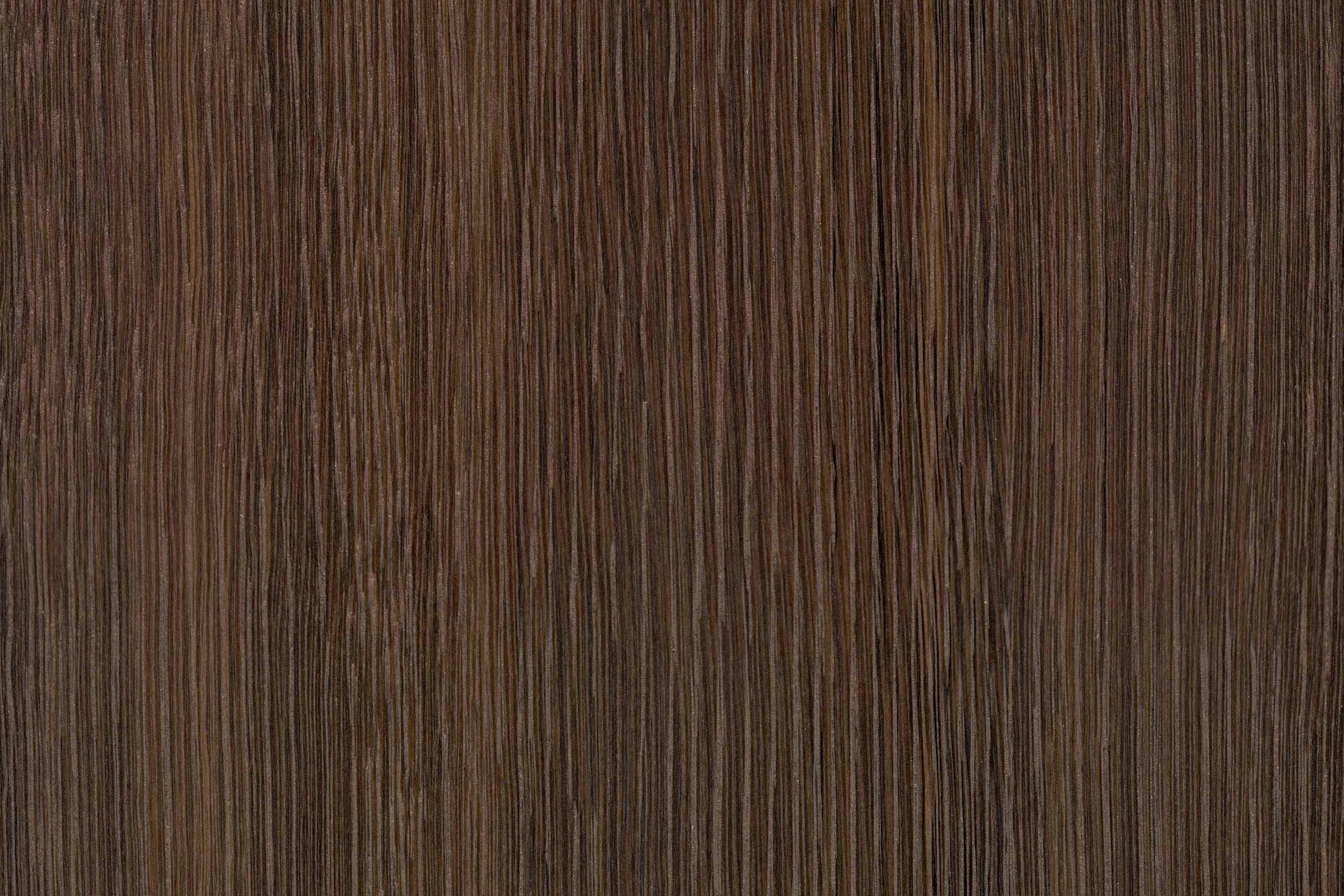 Lin, foncé – Information détaillée