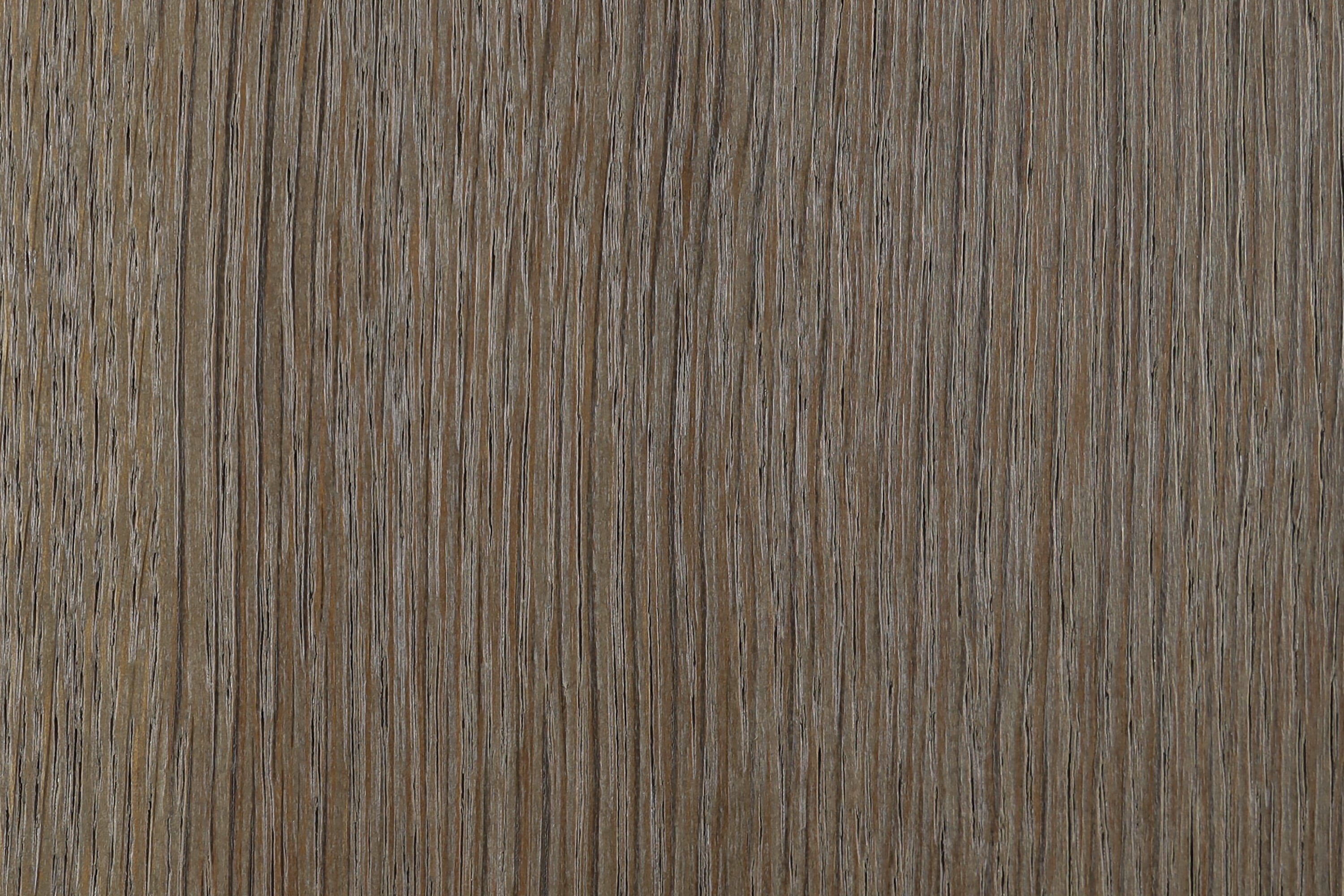 Terra III – Detail