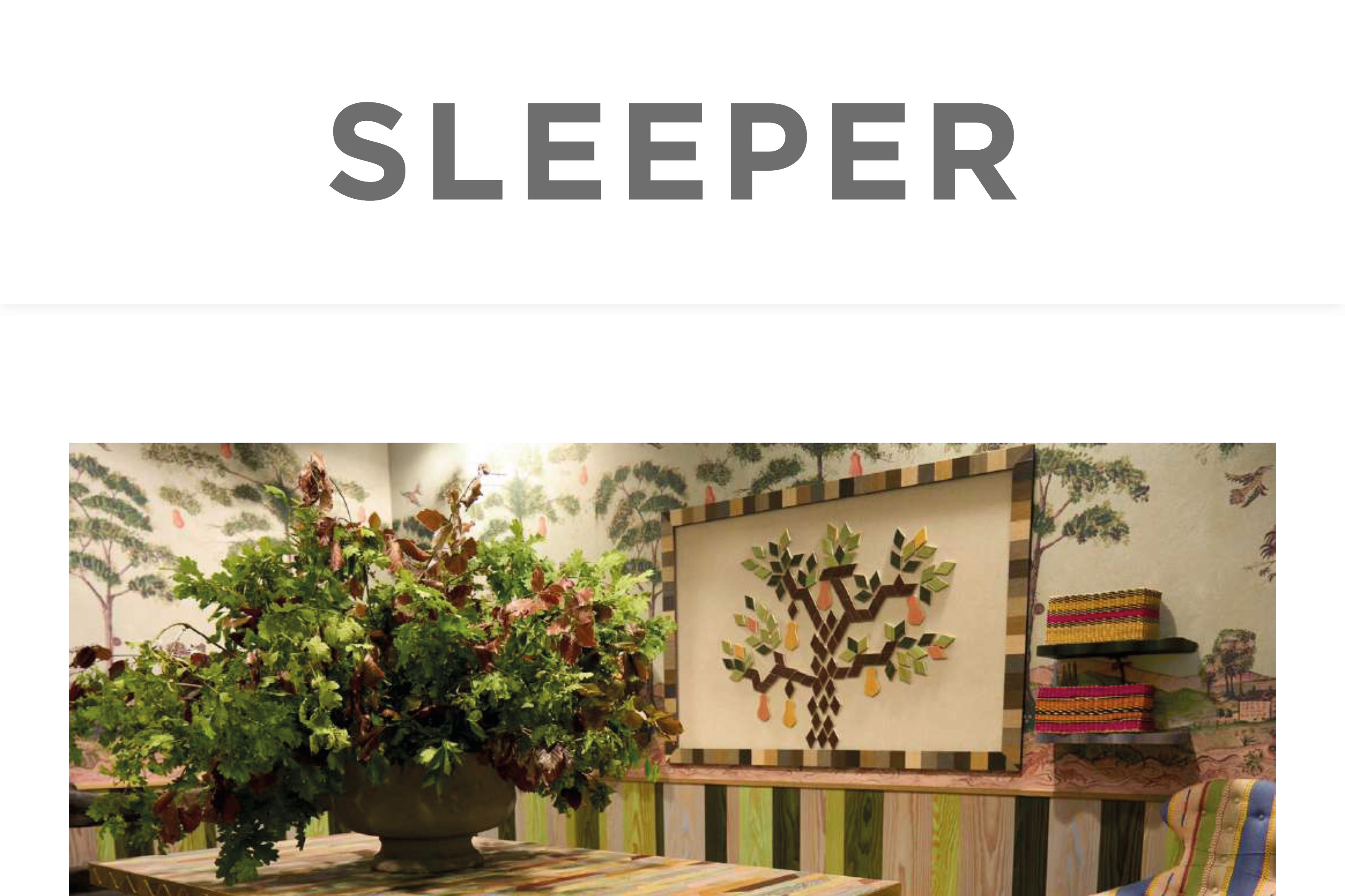 Sleeper Magazin