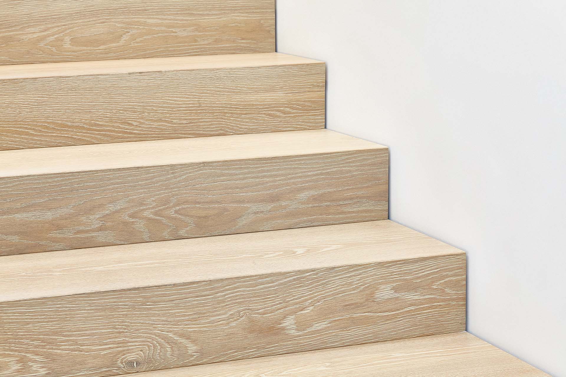 Eva Mayr-Stihl Foundation