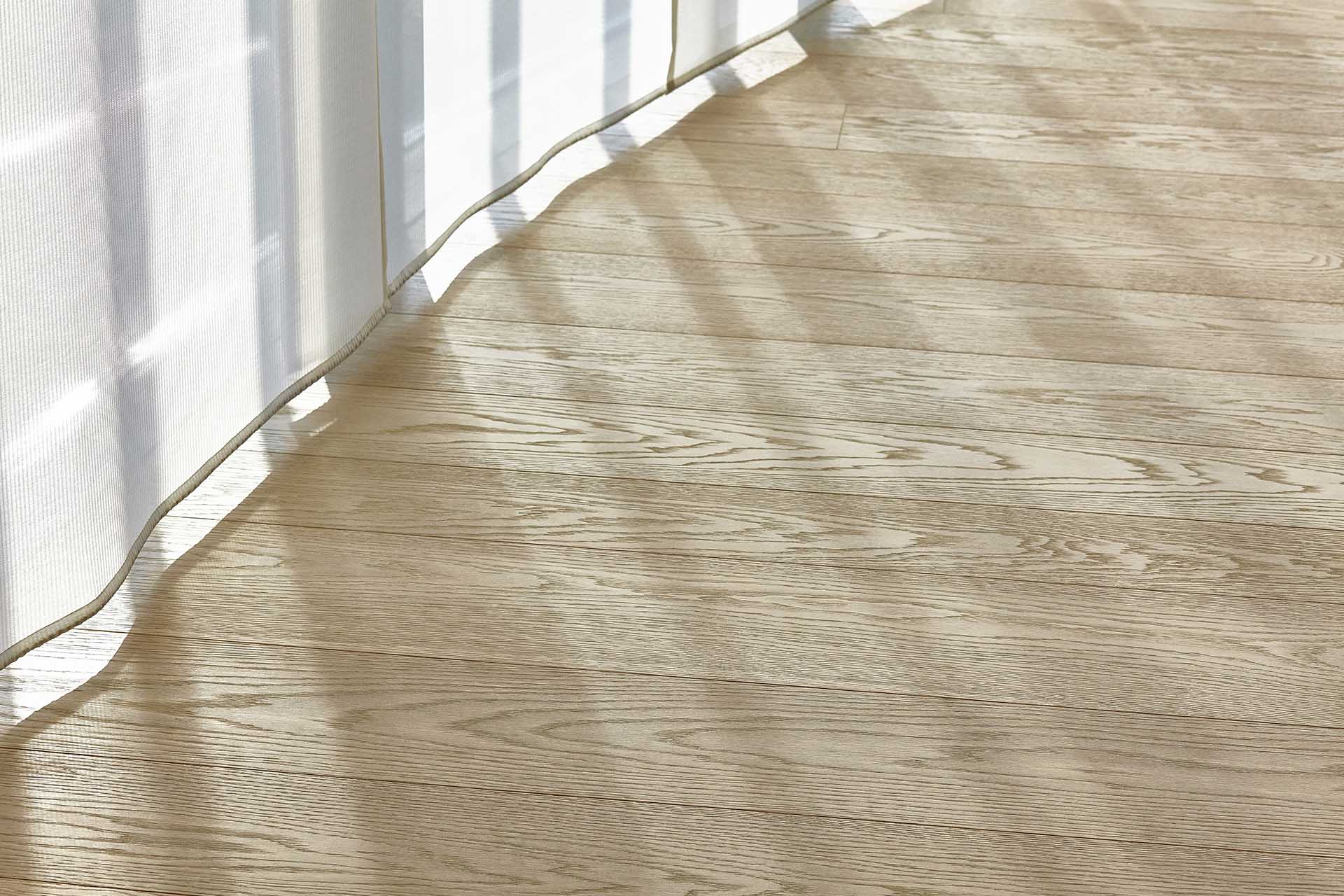 Eva Mayr-Stihl Foundation