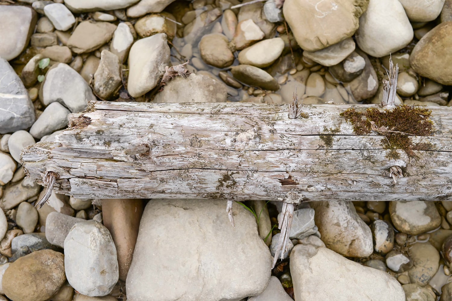 La nature est notre référence.