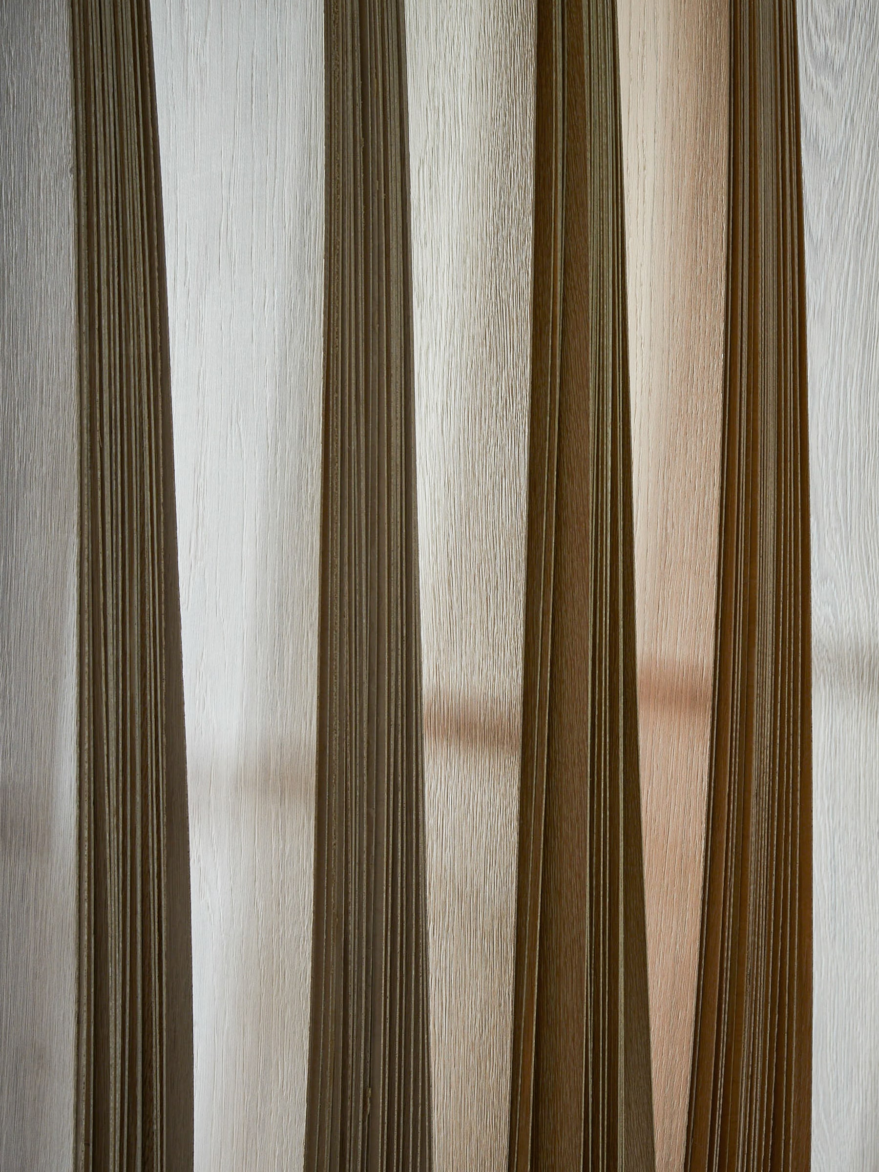 Farbgebung