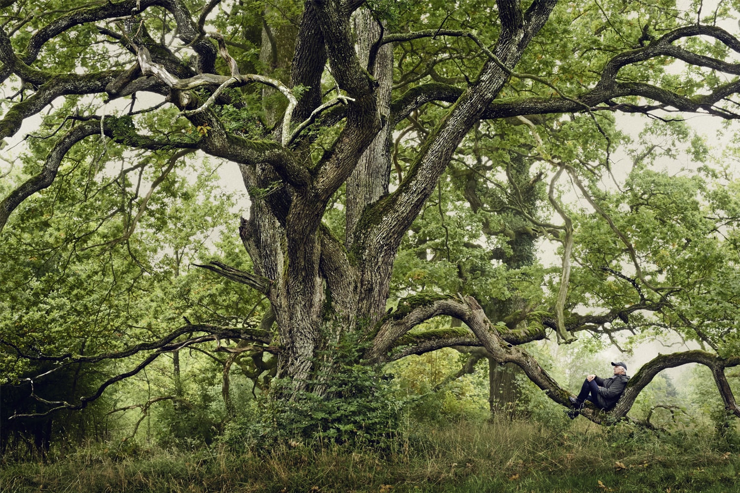 « Le bois possède une résistance incroyable aux agents extérieurs.